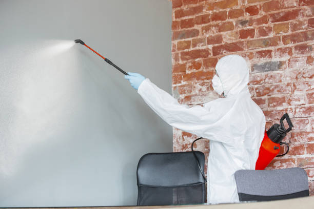 Best Mold Documentation for Insurance Claims  in Fox River Grove, IL