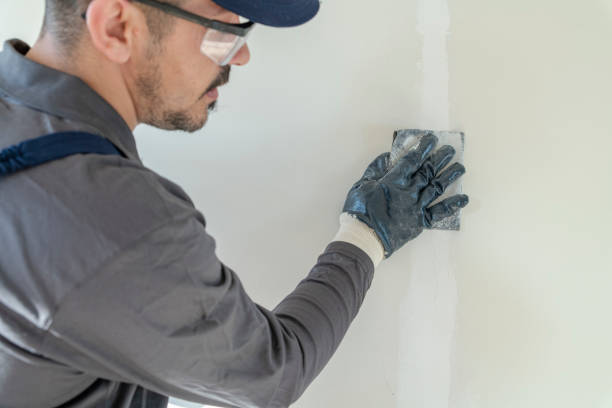 Professional Mold Removal in Fox River Grove, IL